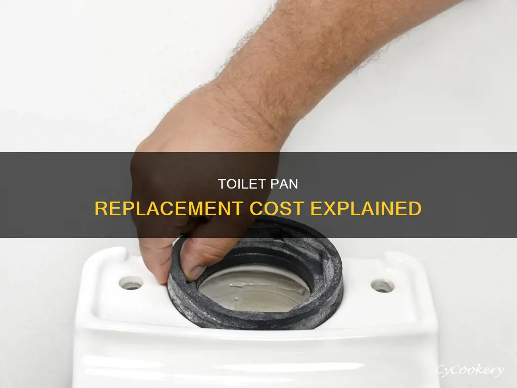 how much to change a pan on a toilet