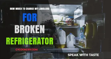 Broken Fridge? How to Calculate Fair Compensation from Your Landlord