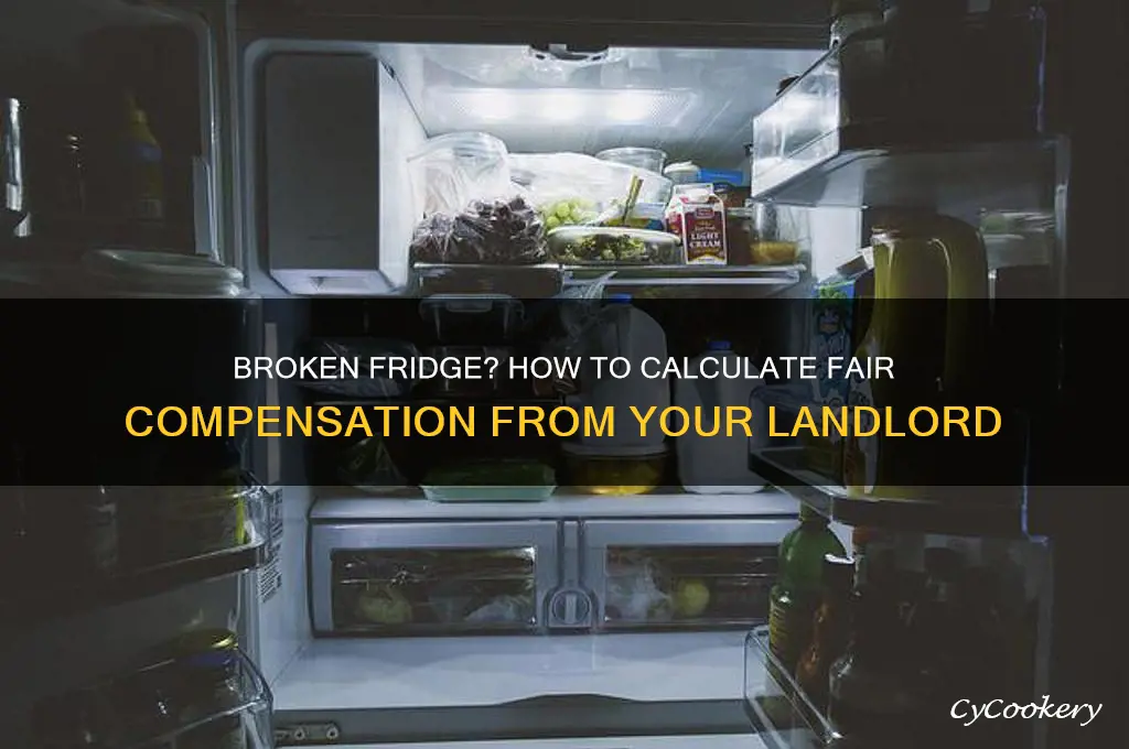how much to charge my landlord for broken refrigerator