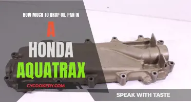 Dropping Oil Pan in a Honda Aquatrax: Cost and Process