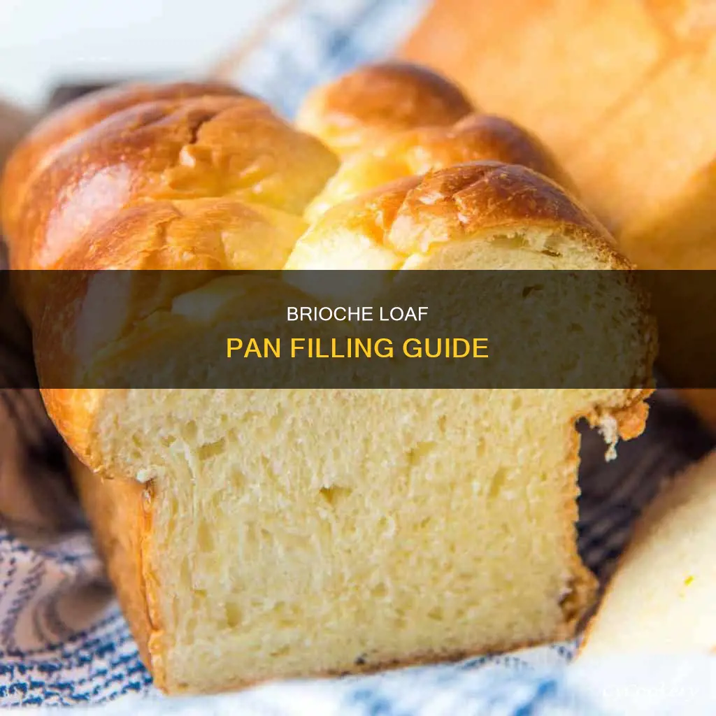 how much to fill loaf pans with brioche