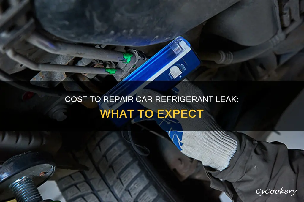 how much to fix a refrigerant leak in car