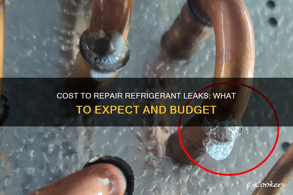 how much to fix a refrigerant leak
