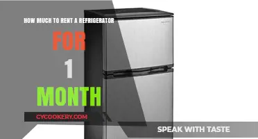 Monthly Fridge Rental Costs: What to Expect for a 30-Day Lease