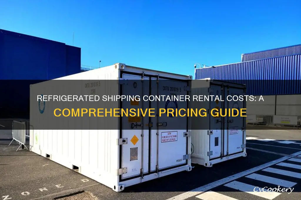 how much to rent refrigerated shipping container