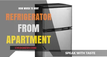 Renting a Refrigerator in Your Apartment: Cost and Considerations