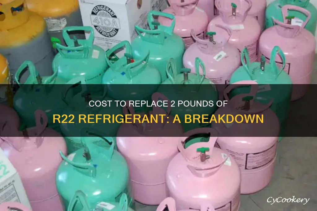 how much to replace 2 lbs of refrigerant r22