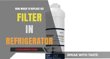 Cost to Replace Ice Filter in Your Refrigerator: A Guide