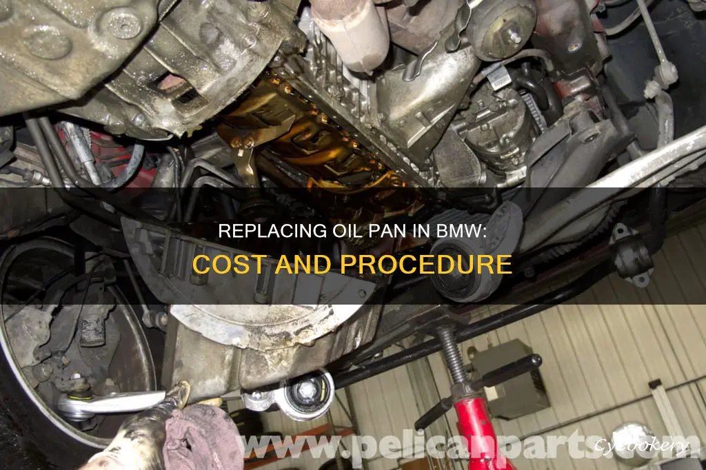 how much to replace oil pan 2005 bmw