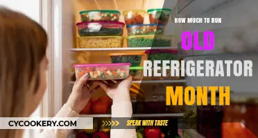 Monthly Costs of Running an Old Refrigerator: What to Expect