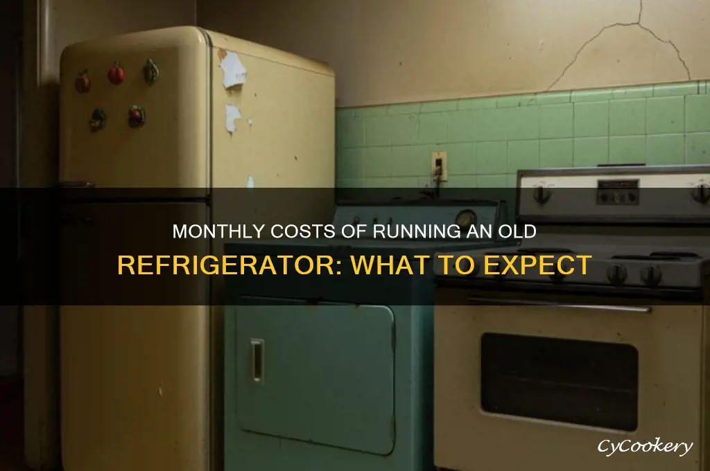 how much to run old refrigerator month