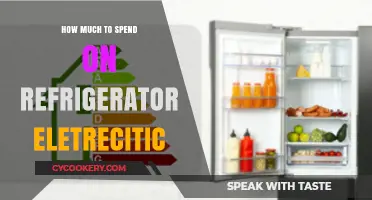 Smart Refrigerator Budgeting: Balancing Cost and Energy Efficiency