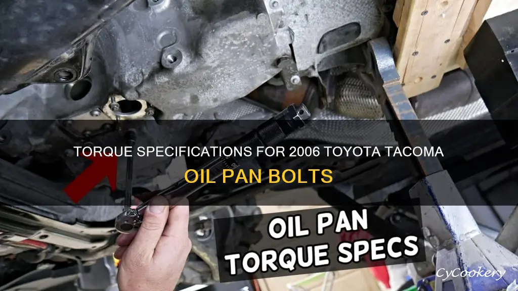 how much torque for oil pan bolts 2006 toyota tacoma