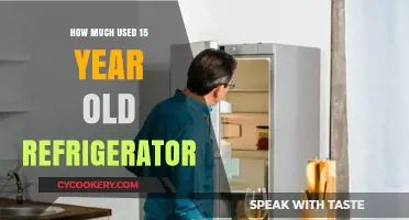 Evaluating the Value and Efficiency of a 15-Year-Old Used Refrigerator