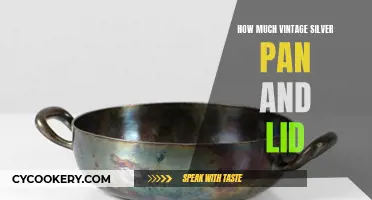 Silver Pan and Lid: Worth Its Weight?