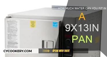 Filling a 9x13 Pan: How Much Water Fits?