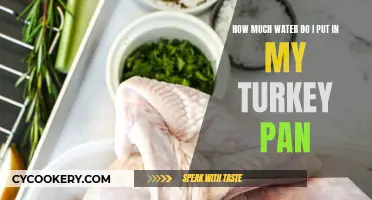 Turkey Pan: How Much Water?