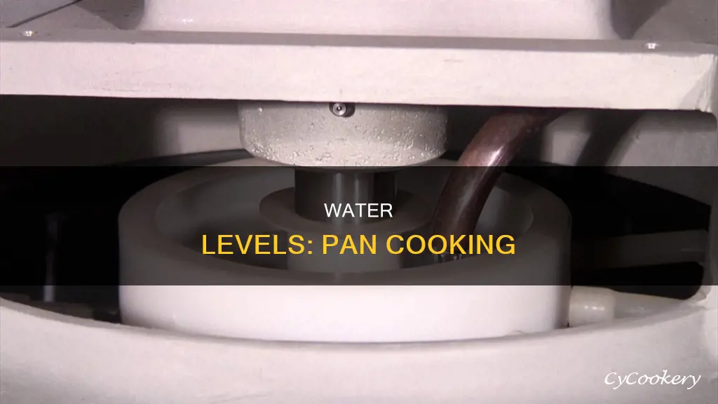 how much water in a pan