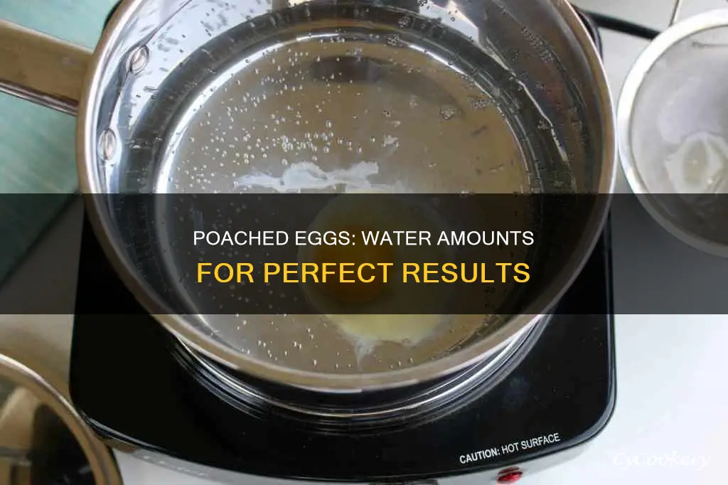 how much water in pan for poached eggs