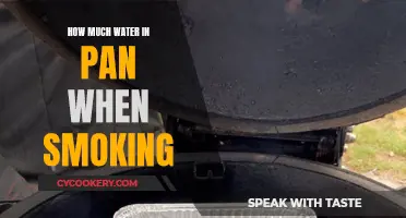 Smoking Meat: Water Pan Wisdom