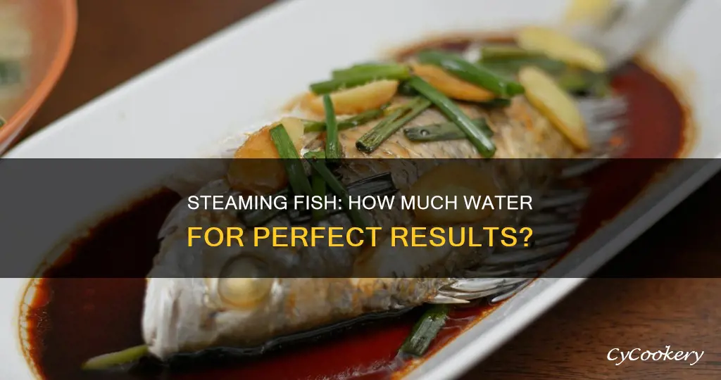 how much water in rice cooker to steam fish