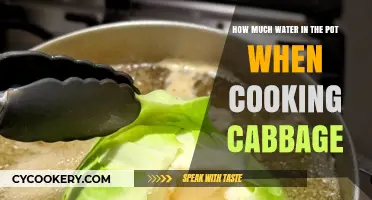 Steaming Cabbage: How Much Water is Needed?
