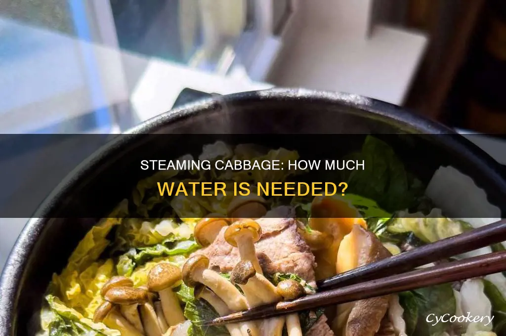 how much water in the pot when cooking cabbage
