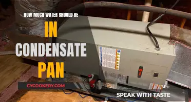 Condensate Pan: Water Level Check