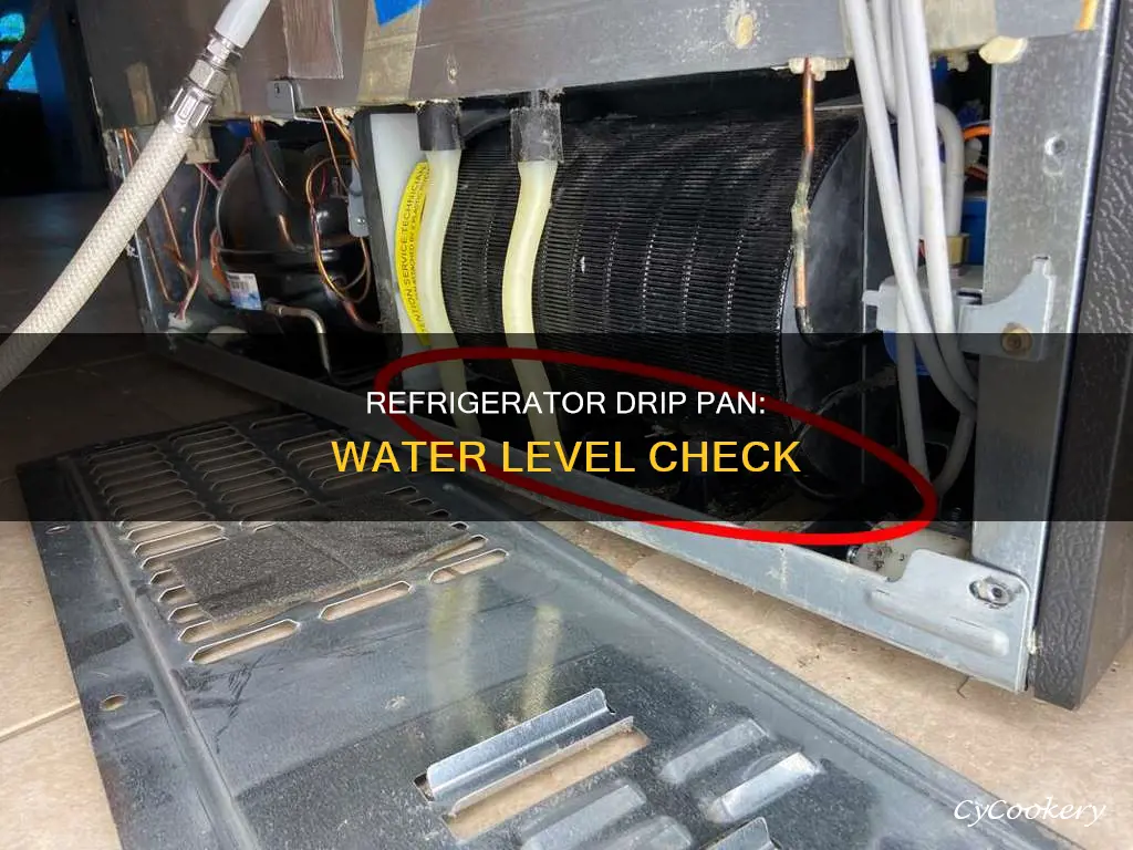 how much water should be in refrigerator drip pan