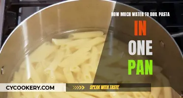 Pasta Water Ratio: How Much?