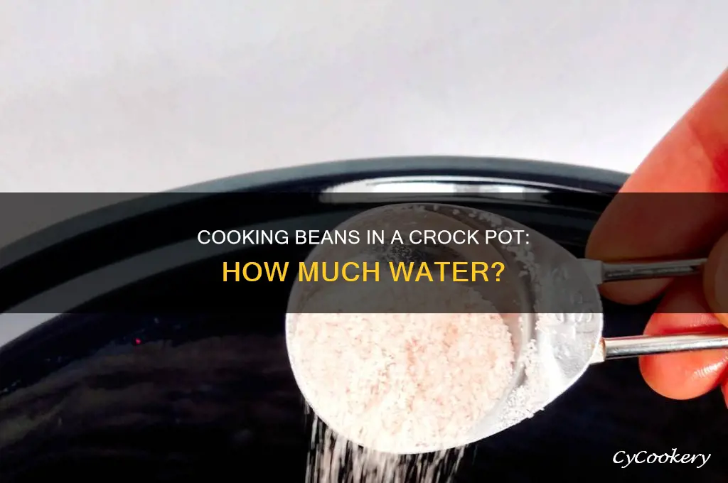 how much water to cook beans in crock pot