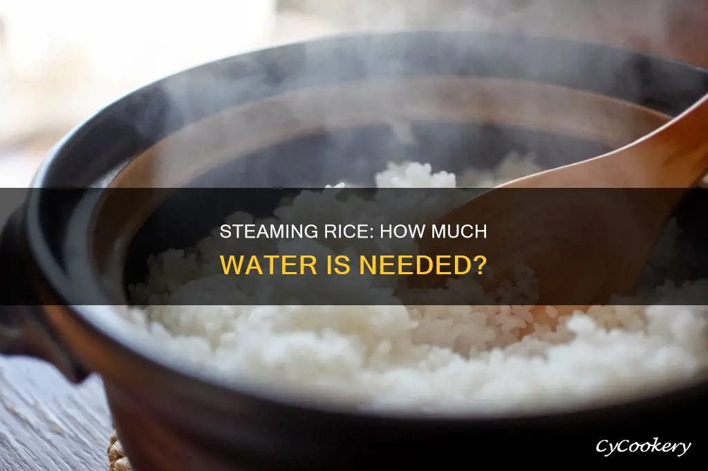 how much water to cook rice in steamer