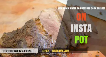 Pressure-Cooking Brisket: How Much Water for Best Results?