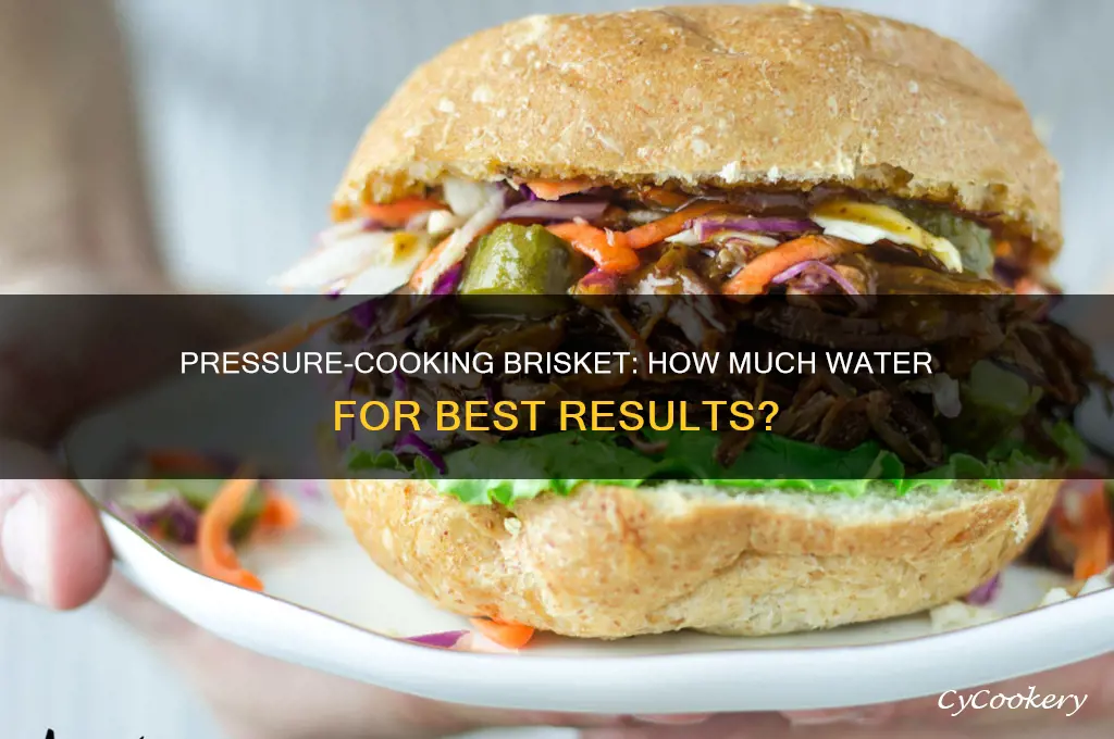 how much water to pressure cook brisket on insta pot