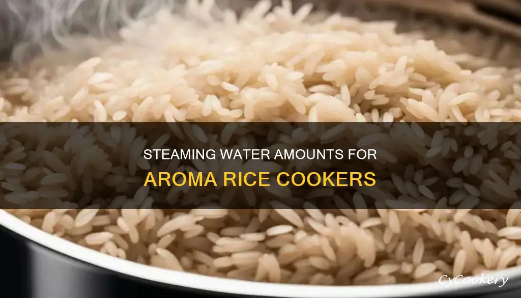 how much water to steam in aroma rice cooker