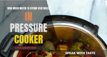 Steaming Veggies: How Much Water in the Pressure Cooker?