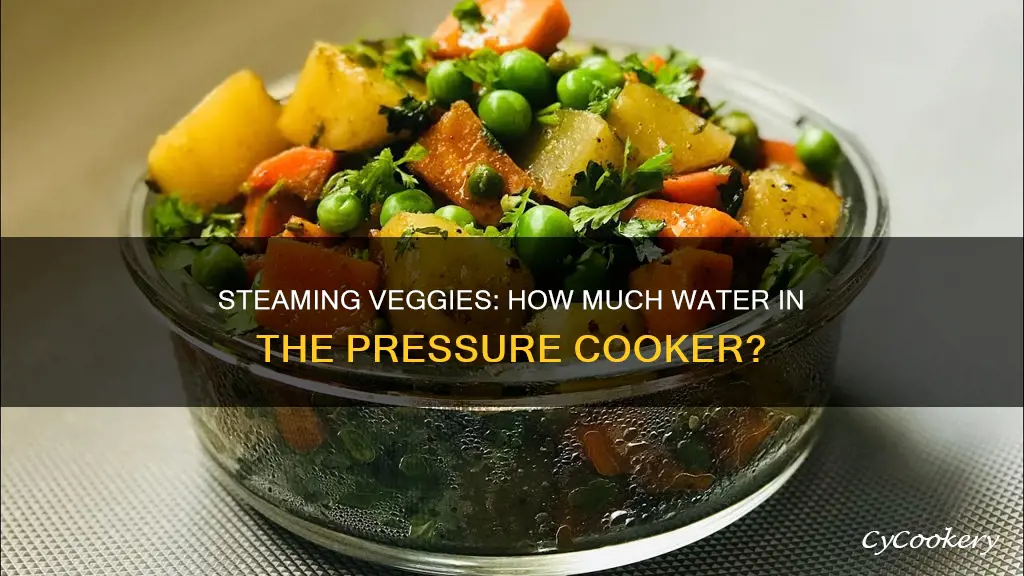 how much water to steam vegetables in pressure cooker