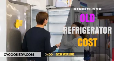 Refrigerator Replacement Costs: What to Expect for a 26-Year-Old Fridge