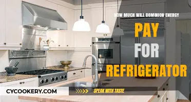 Dominion Energy's Refrigerator Rebate Program: How Much Can You Earn?