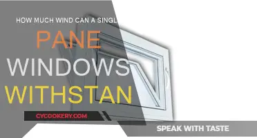 Single-Pane Windows: Wind Resistance and Safety Concerns