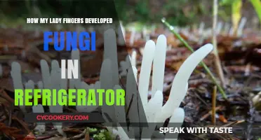 Fungal Invasion: How My Lady Fingers Spoiled in the Fridge