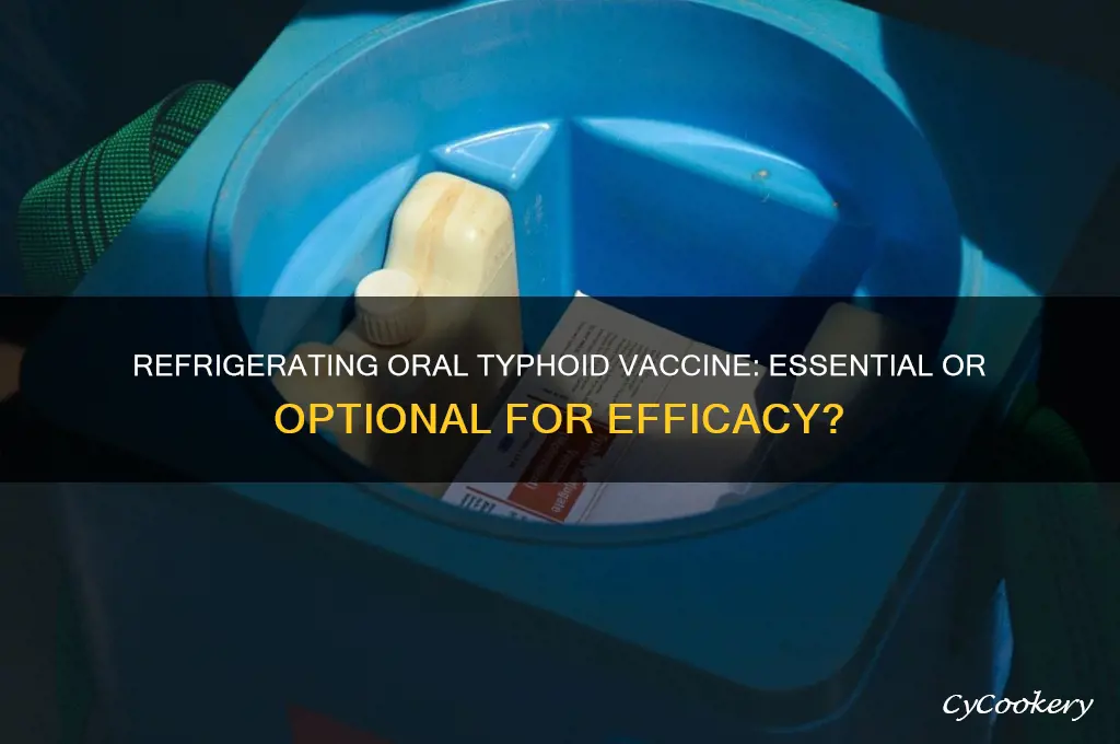 how necessary is it to refrigerate oral typhoid vaccine