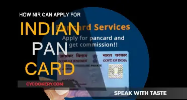 The Easy Guide to Applying for an Indian PAN Card as an NRI