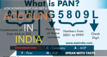 Non-Resident Guide to Getting a PAN Card in India