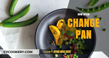 When to Replace Your Pans: A Guide