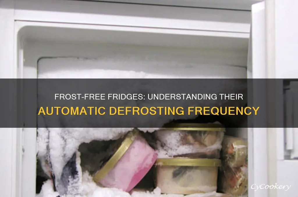 how often do frost free refrigerators defrost