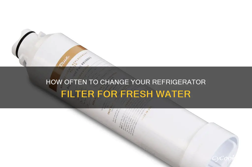 how often do i change refrigerator filtor
