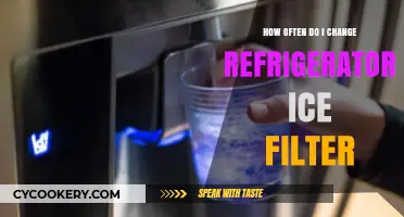 How Often to Change Your Refrigerator Ice Filter: A Guide