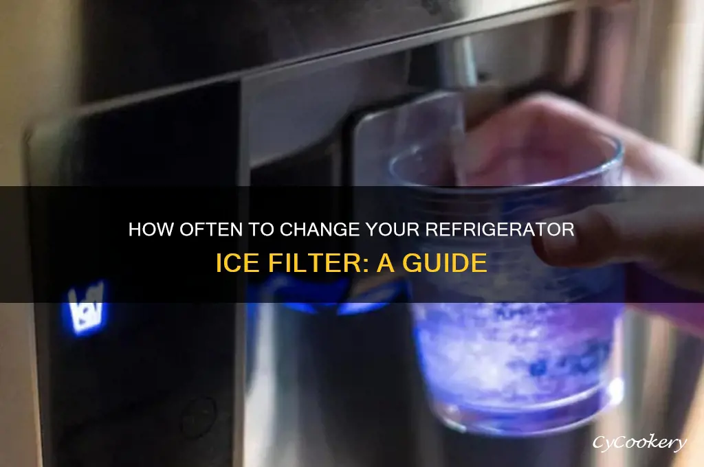 how often do i change refrigerator ice filter
