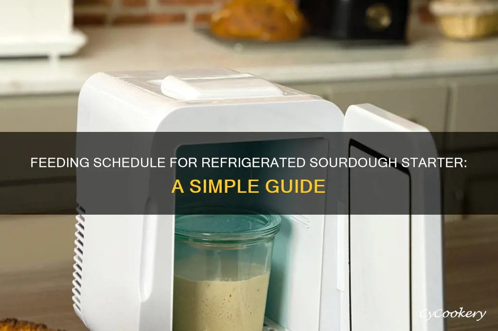 how often do i feed refrigerated sourdough starter